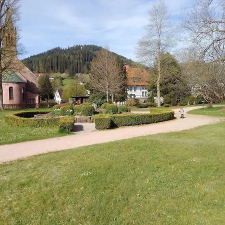 Bergmosisblick Baiersbronn